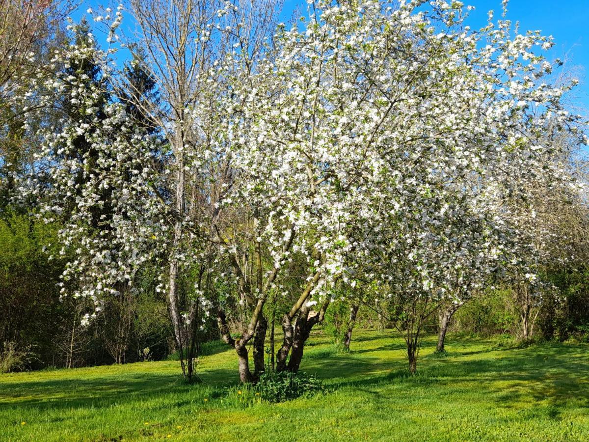 Domaine Pastel Bed & Breakfast Besson Exterior foto